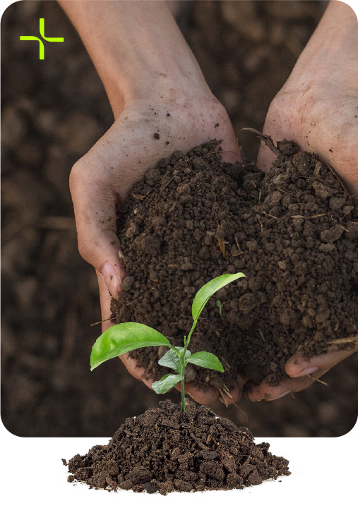 Compostable Compostable